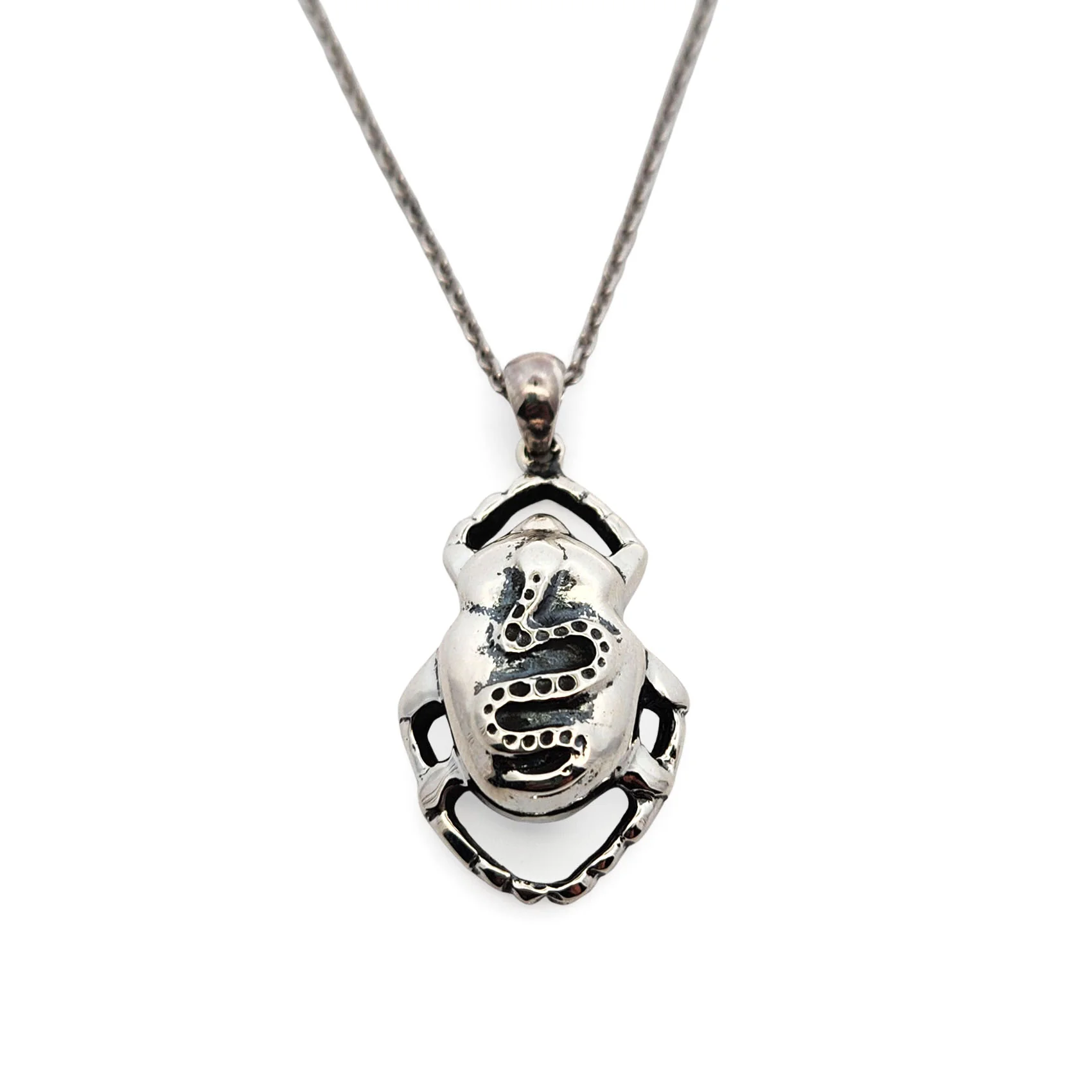Beetle & Snake Pendant