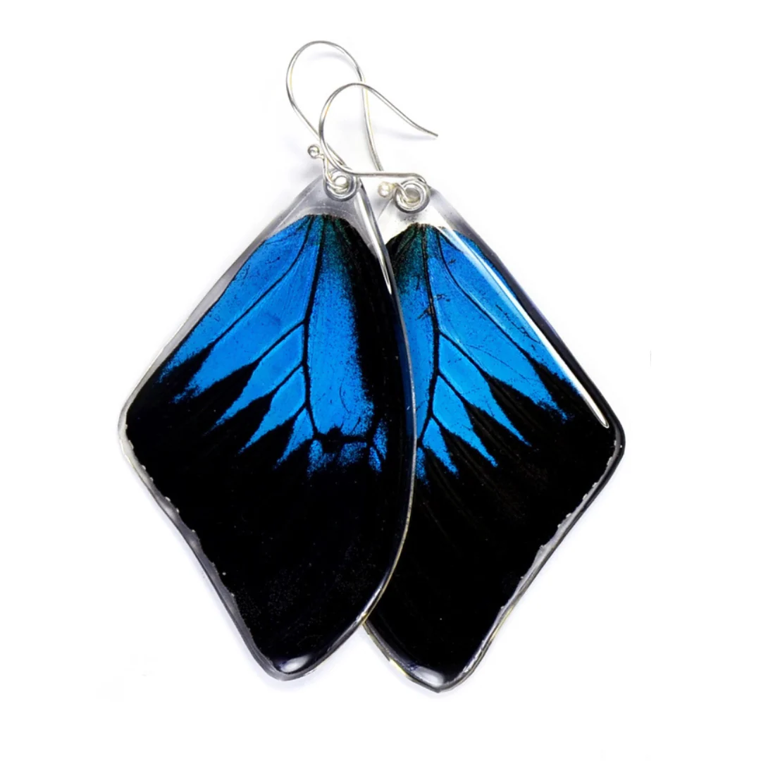 Blue Mountain Swallowtail Butterfly Wing Earrings