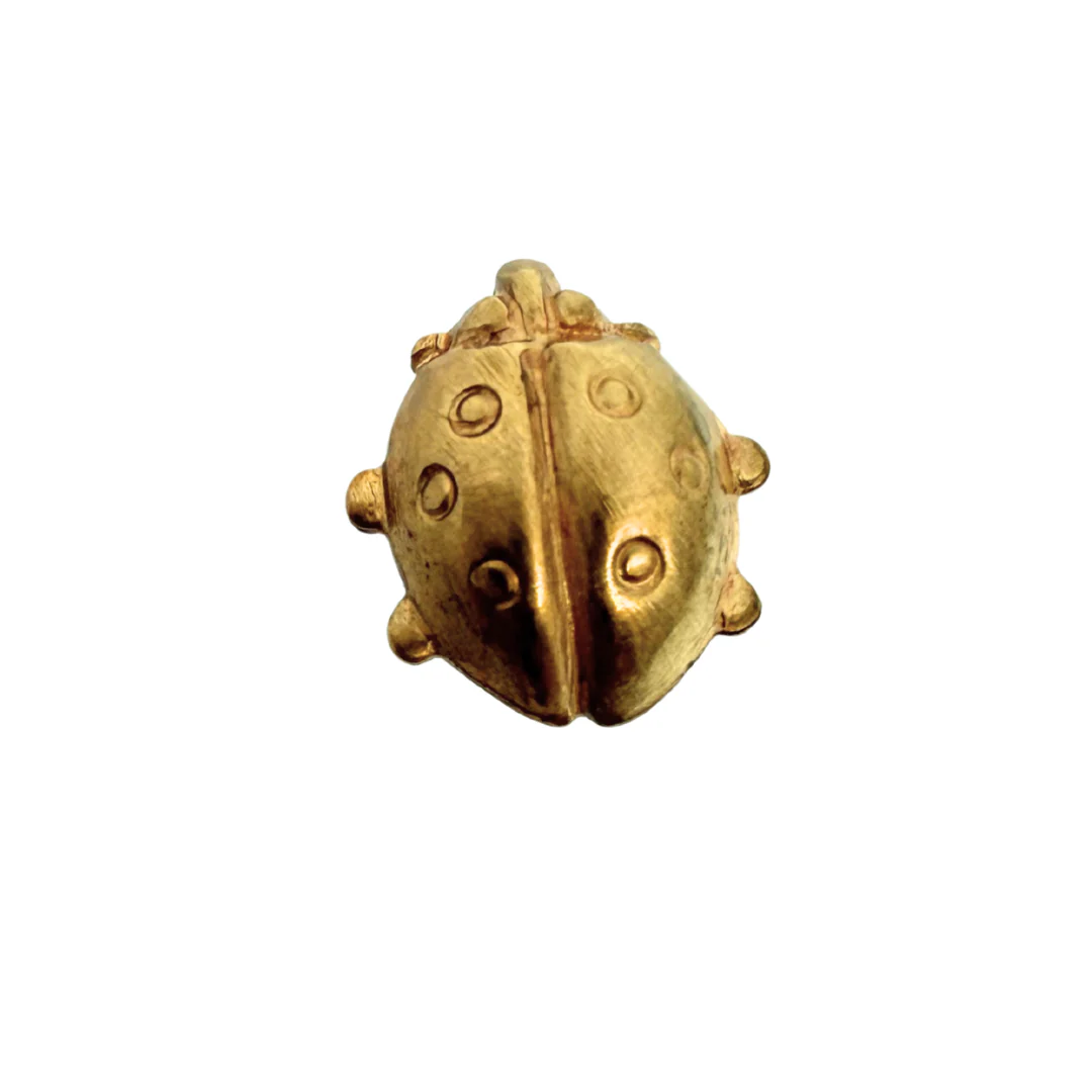 Brass Ladybug Pin