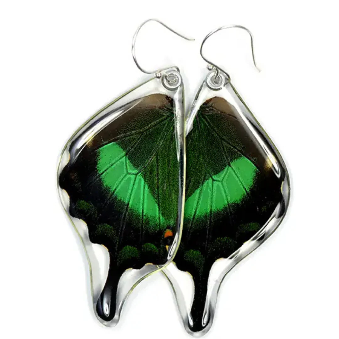 Emerald Swallowtail Butterfly Wing Earrings