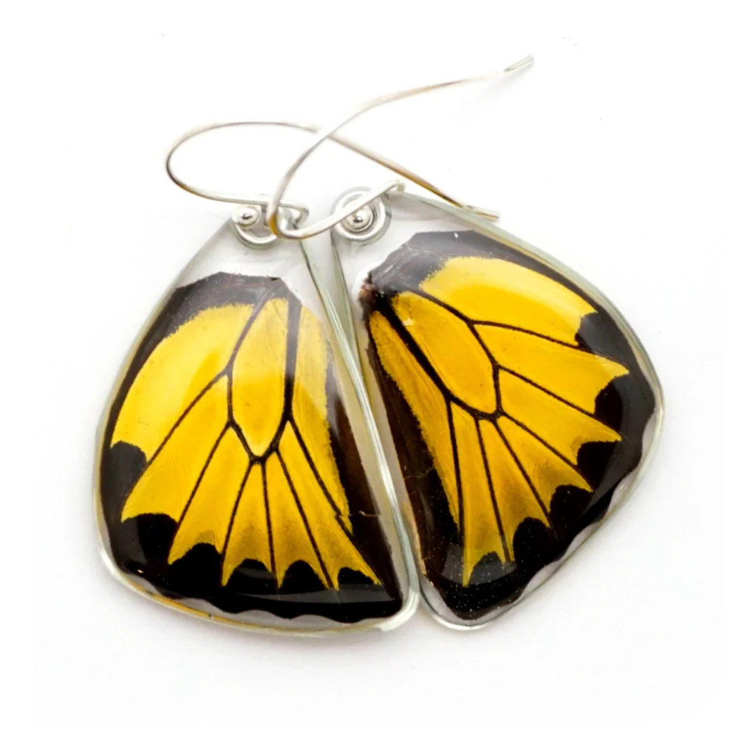 Golden Birdwing Butterfly Wing Earrings