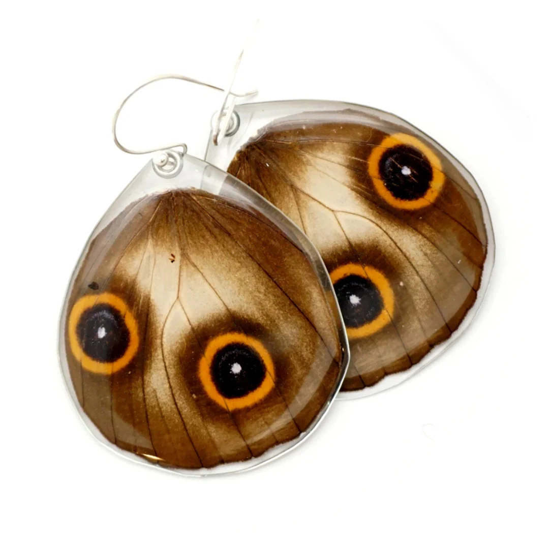 Taenaris Urania Butterfly Wing Earrings